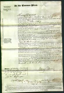 Court of Common Pleas - Hannah Collings-Original Ancestry