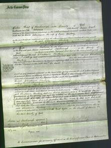 Court of Common Pleas - Christiana Rawling-Original Ancestry