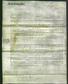 Court of Common Pleas - Hester Hannah Merchant-Original Ancestry