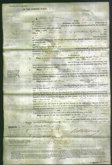 Court of Common Pleas - Mary Barrow, Ann Rylance and Margaret Roberts-Original Ancestry