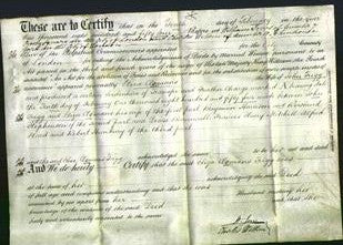 Deed by Married Women - Eliza Clemans Trigg-Original Ancestry