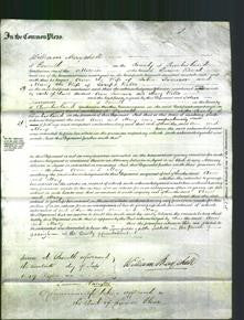 Court of Common Pleas - Ann Jameson and Mary Wells-Original Ancestry