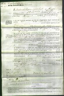 Court of Common Pleas - Margaret Verney-Original Ancestry
