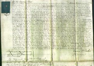 Court of Common Pleas - Elizabeth Duffield, Sarah Brookman, Elizabeth Musgrove, Hannah Duffield, Emma Parker, Sarah Duffield and Hannah Duffield-Original Ancestry