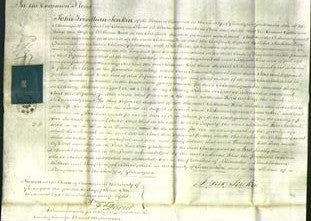 Court of Common Pleas - Catherine Rees-Original Ancestry