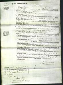 Court of Common Pleas - Harriet Mitchell-Original Ancestry