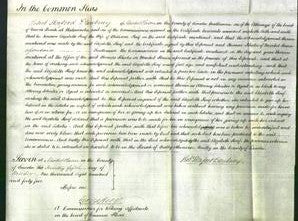 Court of Common Pleas - Elizabeth Roaf-Original Ancestry