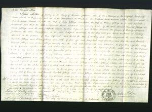 Court of Common Pleas - Hannah Elizabeth Gittings-Original Ancestry