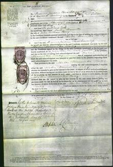 Court of Common Pleas - Helen Henrietta Reay-Original Ancestry