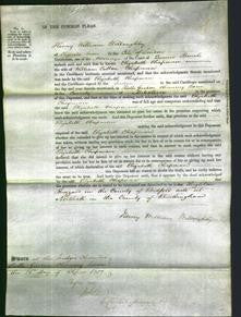 Court of Common Pleas - Elizabeth Chapman-Original Ancestry