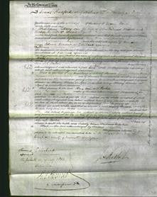 Court of Common Pleas - Mary Ann Weidner and Rachel Stigant-Original Ancestry