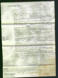 Court of Common Pleas - Sarah Bellamy-Original Ancestry