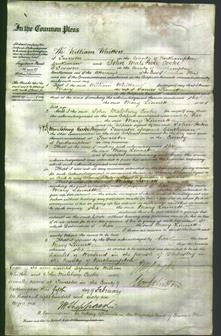 Court of Common Pleas - Mary Linnett-Original Ancestry