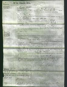 Court of Common Pleas - Jane Rogers-Original Ancestry