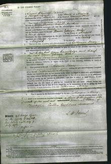 Court of Common Pleas - Catherine Mary Hawkins-Original Ancestry
