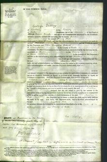 Court of Common Pleas - Martha Hall-Original Ancestry