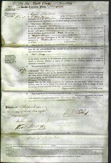 Court of Common Pleas - Susan Dolloway-Original Ancestry