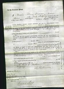 Court of Common Pleas - Ann Kinsey-Original Ancestry