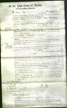 Court of Common Pleas - Agnes Jewsbury-Original Ancestry