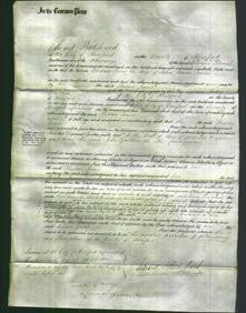 Court of Common Pleas - Susan Jones-Original Ancestry