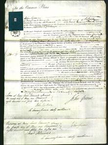 Court of Common Pleas - Marianne Wortledge-Original Ancestry
