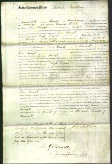 Court of Common Pleas - Jane Anwyl-Original Ancestry
