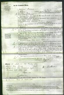 Court of Common Pleas - Ellen Simcock-Original Ancestry