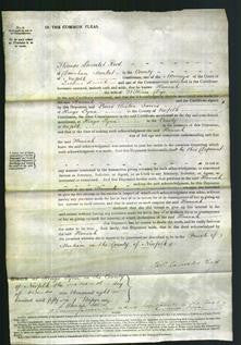 Court of Common Pleas - Hannah Dye-Original Ancestry