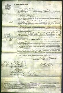 Court of Common Pleas - Hester Ballinger-Original Ancestry