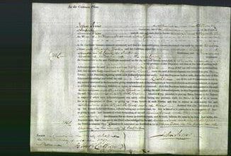 Court of Common Pleas - Louisa Jones and Elizabeth Gent-Original Ancestry