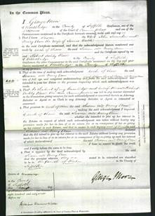 Court of Common Pleas - Susan Snowden, Mary Ann Cable-Original Ancestry