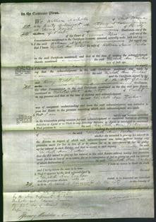 Court of Common Pleas - Elizabeth Ann Tucker-Original Ancestry