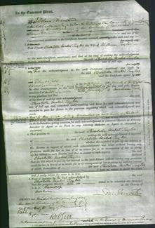 Court of Common Pleas - Charlotte Mabel Taylor-Original Ancestry