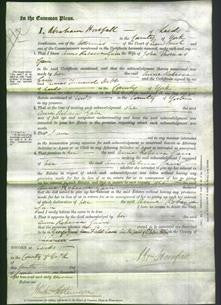 Court of Common Pleas - Anne Rebecca Speechley Gain-Original Ancestry