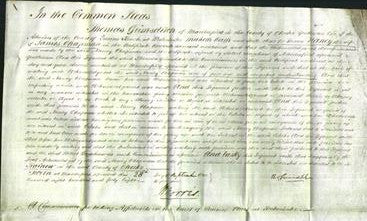 Court of Common Pleas - Nancy Chapman-Original Ancestry