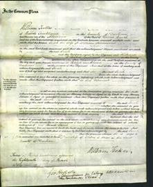 Court of Common Pleas - Sarah Hammond-Original Ancestry