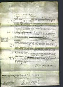 Court of Common Pleas - Sarah Topliss Parkin-Original Ancestry