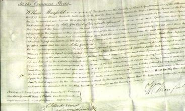 Court of Common Pleas - Ann Symes-Original Ancestry