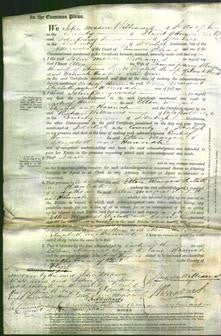 Court of Common Pleas - Ellen Parry, Margaret Knight, Elizabeth Powell and Hannah Young-Original Ancestry