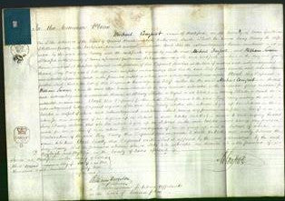 Court of Common Pleas - Lucy Pissey-Original Ancestry