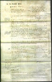 Court of Common Pleas - Anne Tarleton Roberts-Original Ancestry