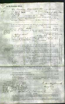 Court of Common Pleas - Frances Lewis-Original Ancestry