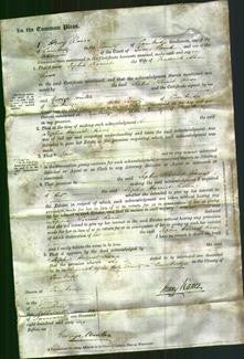 Court of Common Pleas - Sophia Harriet Rowe-Original Ancestry