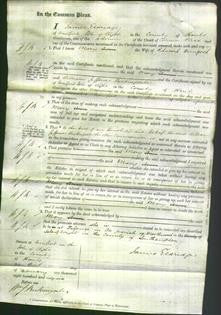 Court of Common Pleas - Mary Dunford-Original Ancestry