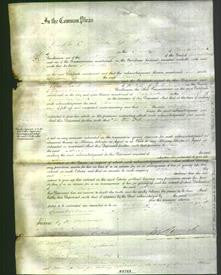 Court of Common Pleas - Anne Hindrie-Original Ancestry