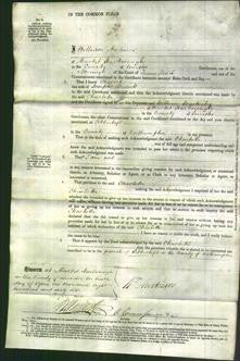 Court of Common Pleas - Charlotte Bassett-Original Ancestry