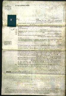 Court of Common Pleas - Charlotte Gooch-Original Ancestry