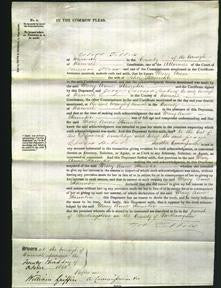 Court of Common Pleas - Mary Anne Staunton-Original Ancestry