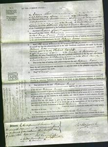 Court of Common Pleas - Rebecca Moss-Original Ancestry