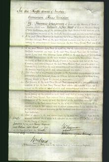 Court of Common Pleas - Mary Hannah Read-Original Ancestry